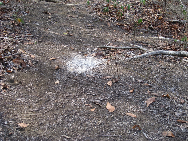 Hinterlassenschaften